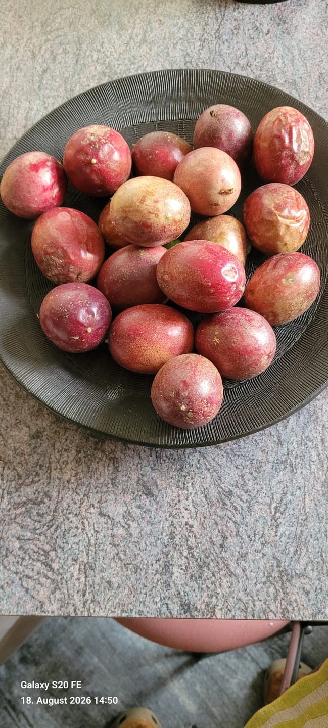 Customer photo review of Passionsfrüchte Bio von Julian Aktionswoche %