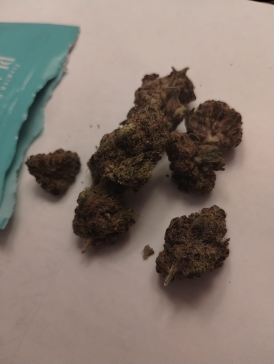 Customer photo review of Peanut Butter Breath (Exotic) - THCA Flower