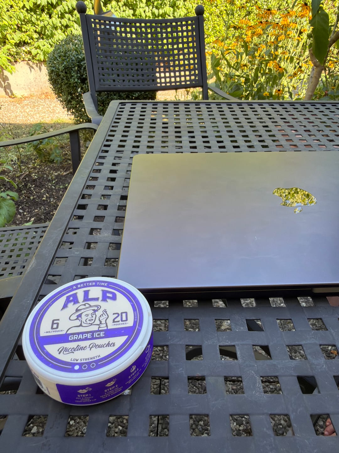 Customer photo review of Grape Ice Nicotine Pouches