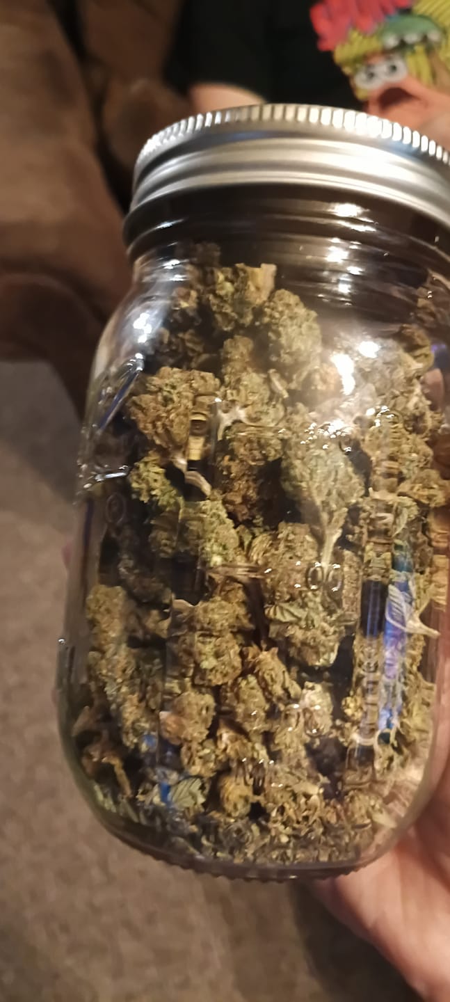 Customer photo review of Blackout Berries THCA Flower Ounce (28g)