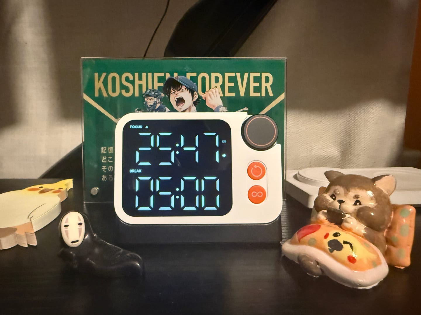 Customer photo review of Flow Timer