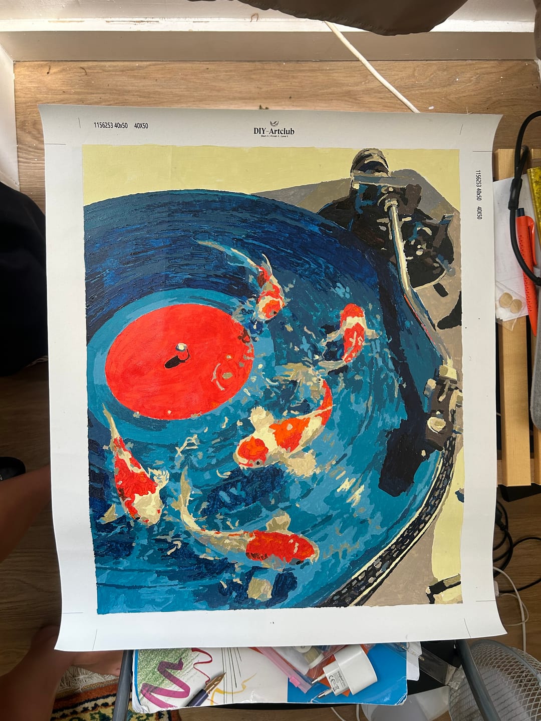 Customer photo review of Koi Records | Paint by Number