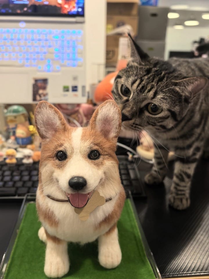 Customer photo review of Handmade Pet Felt Clones