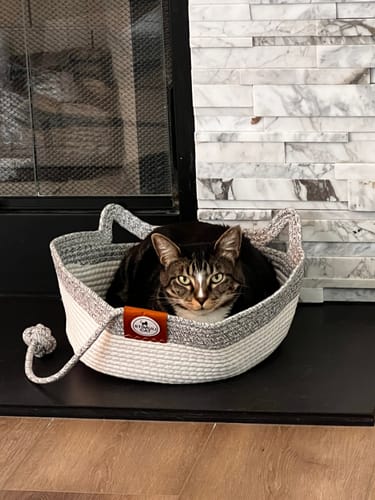 Customer's cat sitting in the white and grey Instinct Basket on a black hearth near a fireplace.