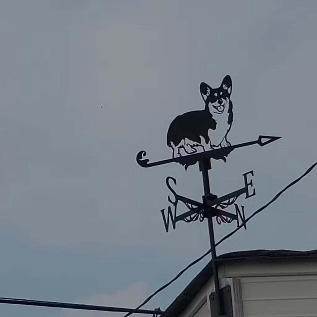Customer photo review of Weather Vane - Corgi