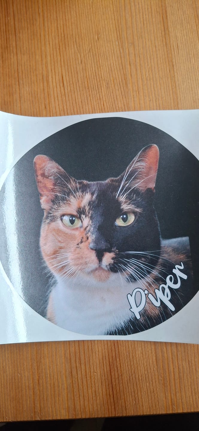 Customer photo review of Personalisierter Autoaufkleber - Dein Foto mit Hund