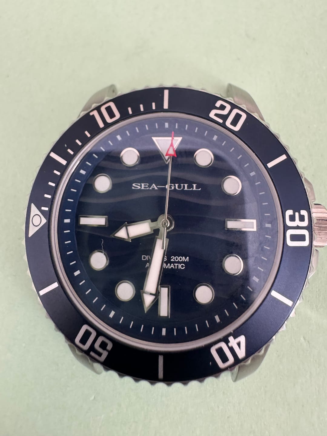 Customer photo review of Ocean Series | 200m Waterproof | Luminous | Dive | 41mm