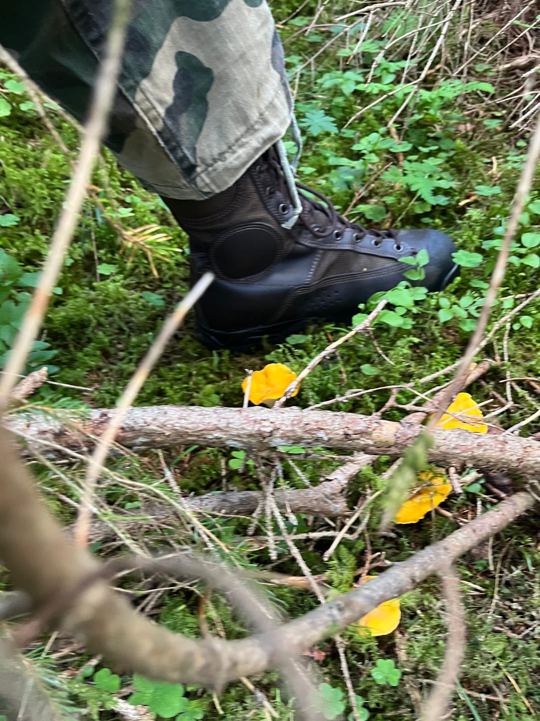 Customer photo review of Anfibi Militari Laguna Marroni NON IMPERMEABILE – Pelle Pieno Fiore e Nylon Balistico