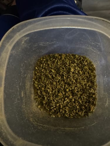 Strawberry Grape™ – Feminized CBD Seeds photo review