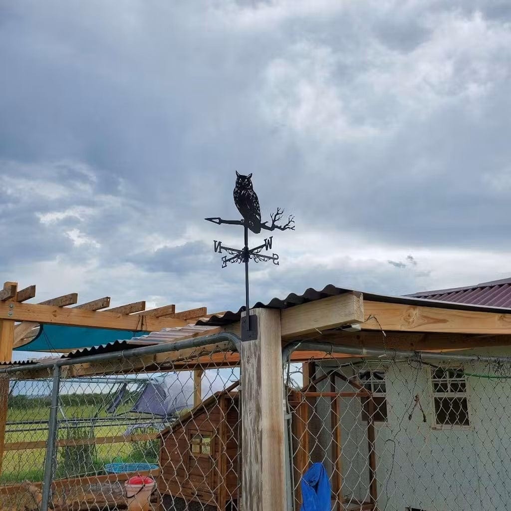 Customer photo review of Weather Vane - Owl on Branch