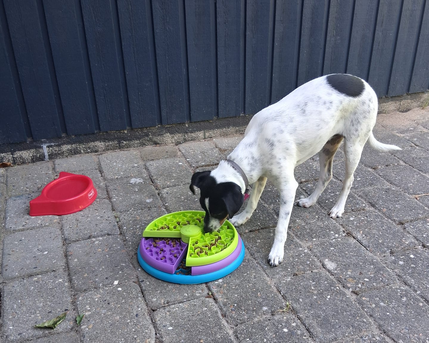Customer photo review of SnackLabyrinten i 3 Lag