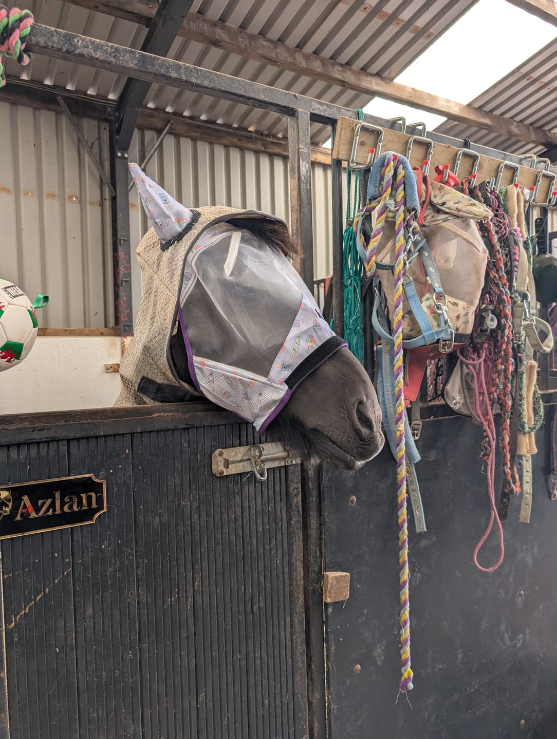 Customer photo review of NEW Ice Ice Lolly Fly Mask