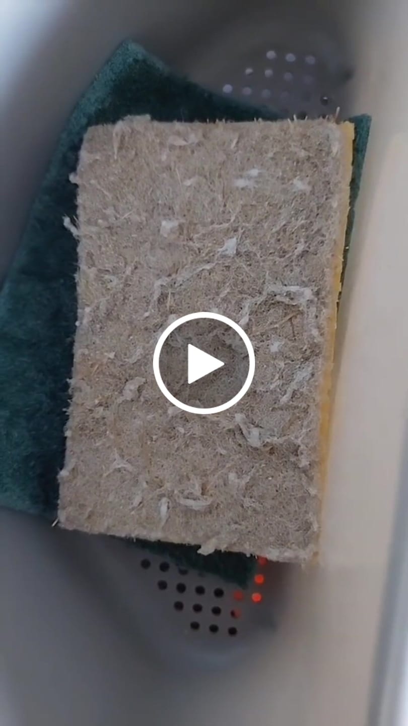 Customer video review of Plant Derived Sponges