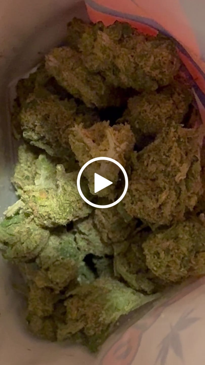 Customer video review of Greenhouse Smalls
