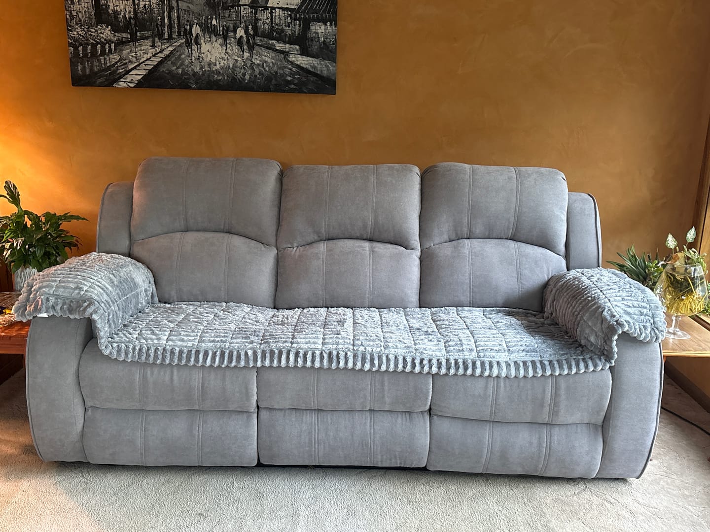 Customer photo review of CouchCloud - Couch Covers