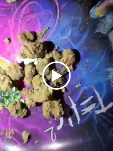 Ice Runtz - 28 Gramm - Indica photo review