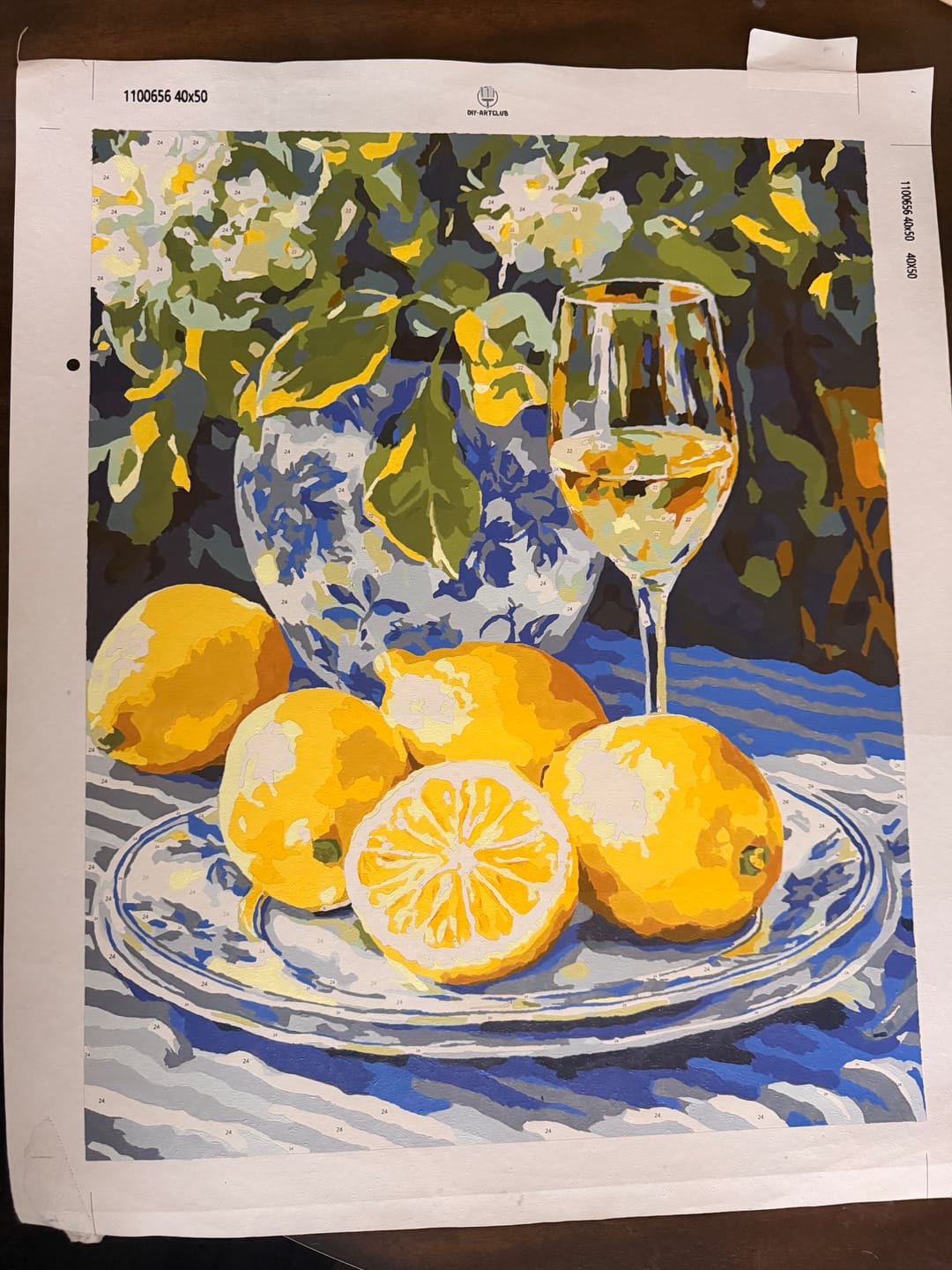 Customer photo review of Lemons and Wine | Paint by Numbers