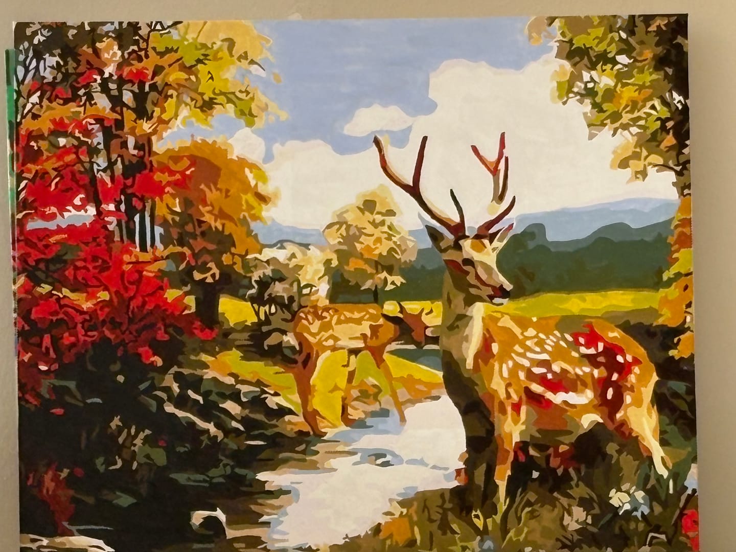 Customer photo review of Deer by the River