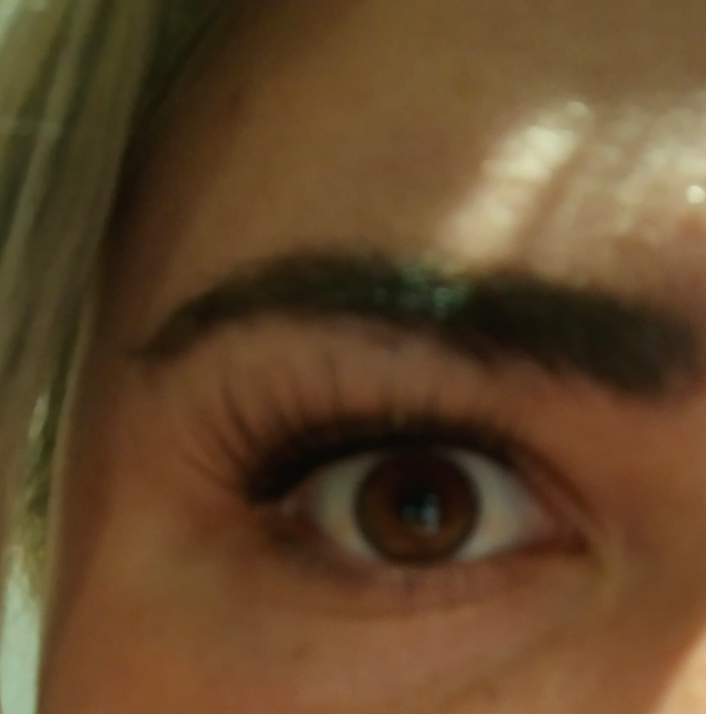 Customer photo review of Venus Bloom Lash Kit