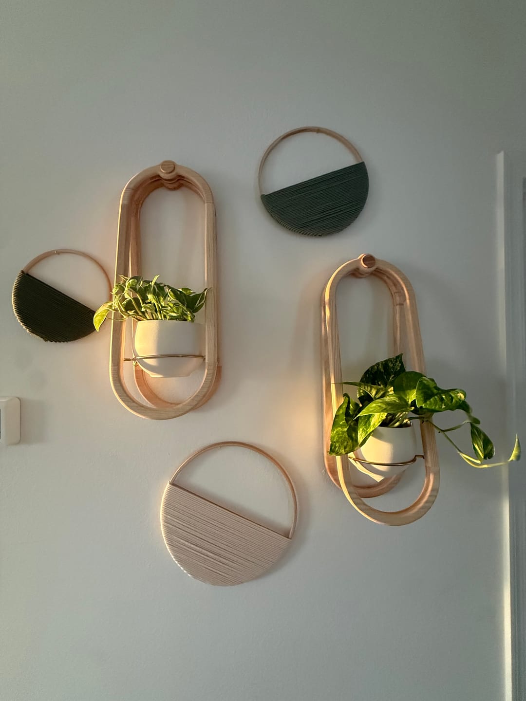 Customer photo review of Frame Wall Planter + Pot Duo