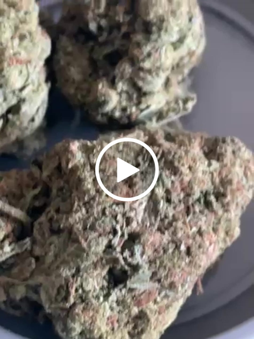 Customer video review of Laughing Gas - Bulk - Hybrid