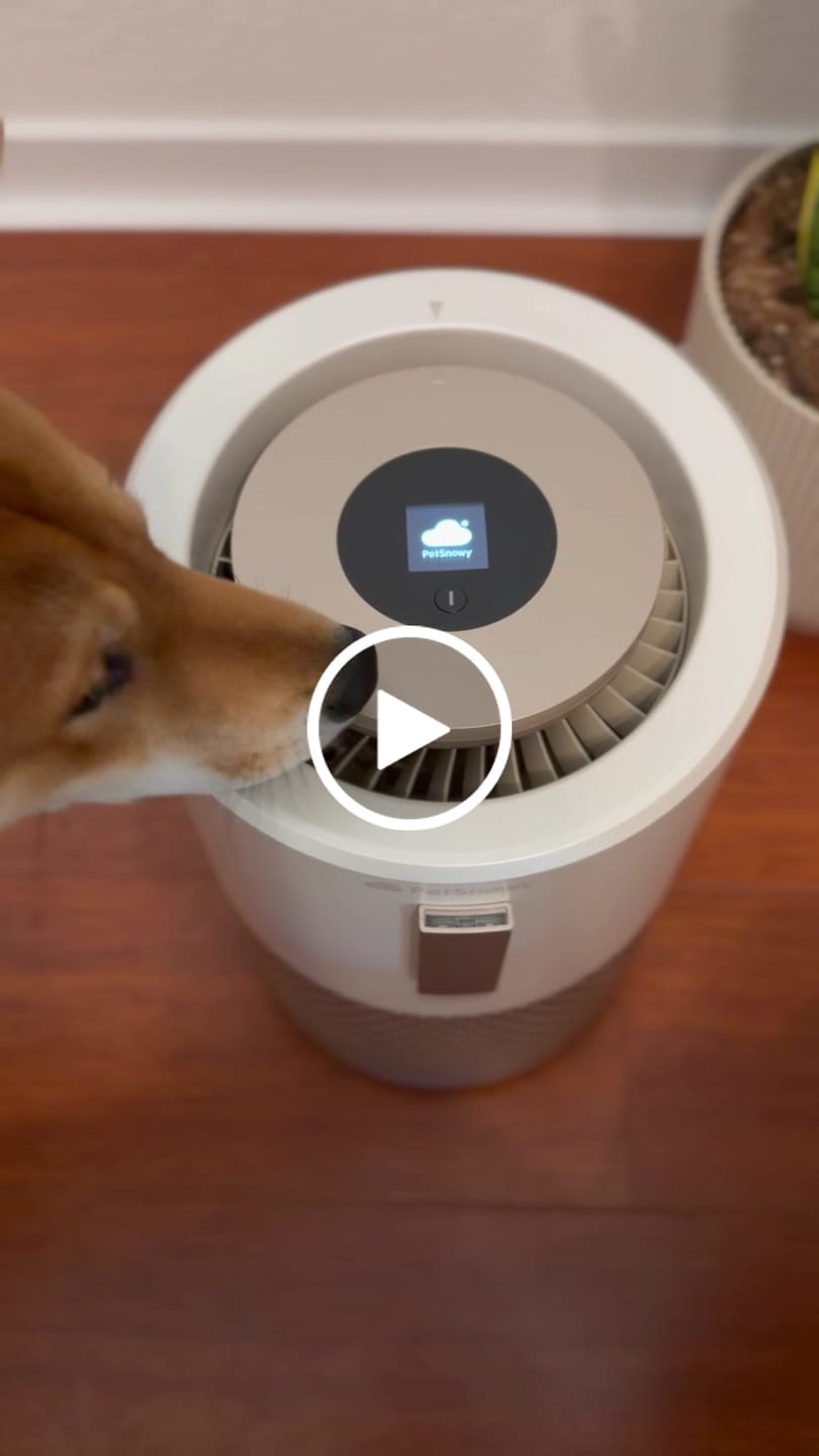 Customer video review of Pet Air Purifier