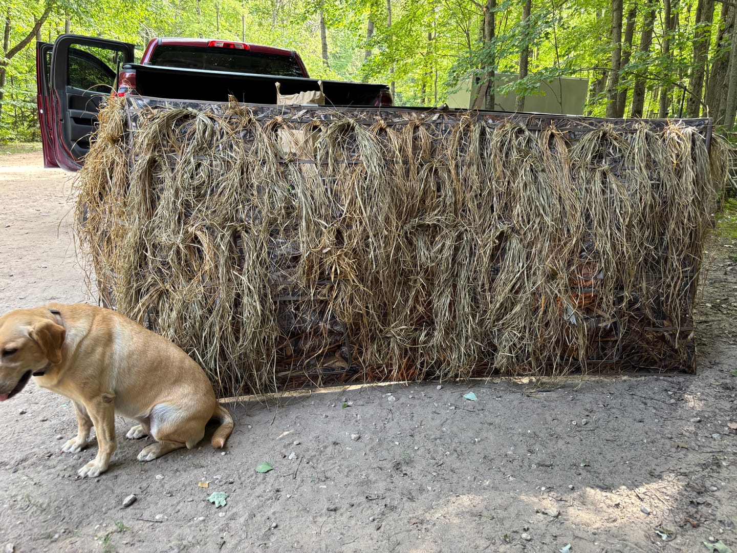 Customer photo review of Modular Panel Hunting Blind | A-Frame Pop Up Duck & Goose Blinds | Portable 3-4 Person Waterfowl Ground Blind Camo