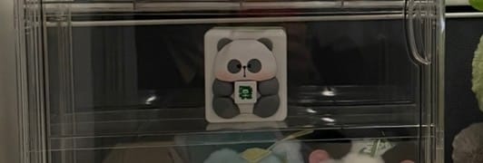 Customer photo review of MR.PA No Work Today Series Blind Box