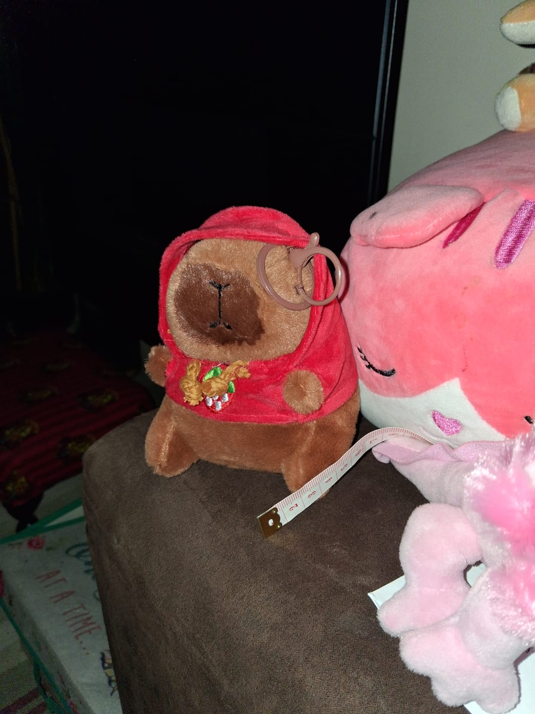 Customer photo review of Capybara with Hoodie Keychain