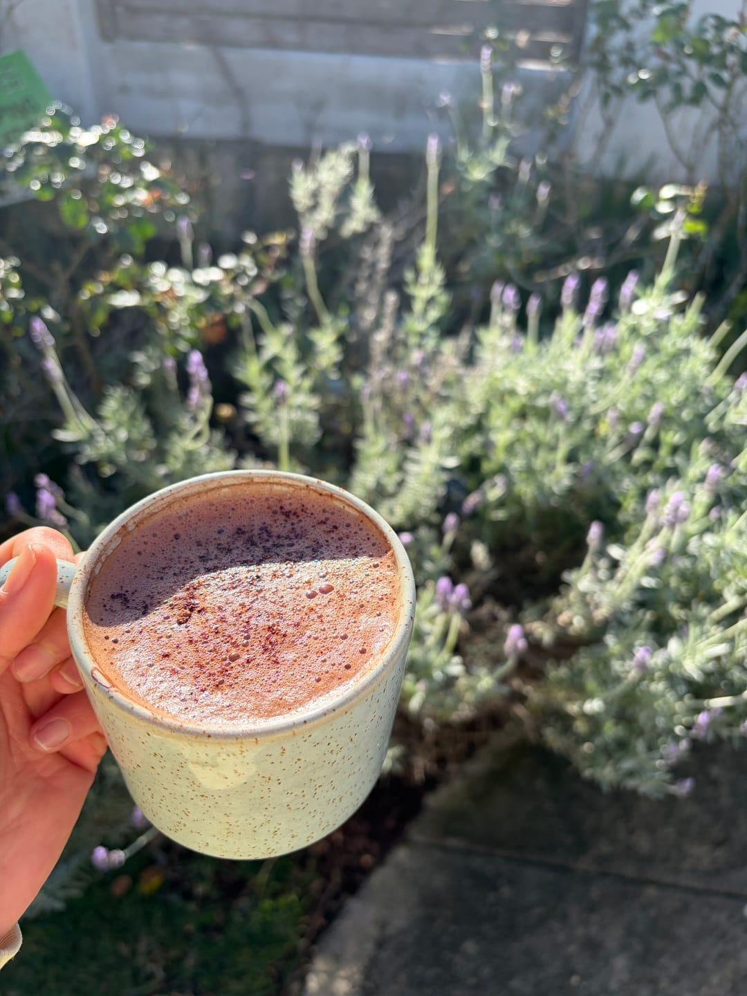 Customer photo review of Bone Broth Cacao Blend