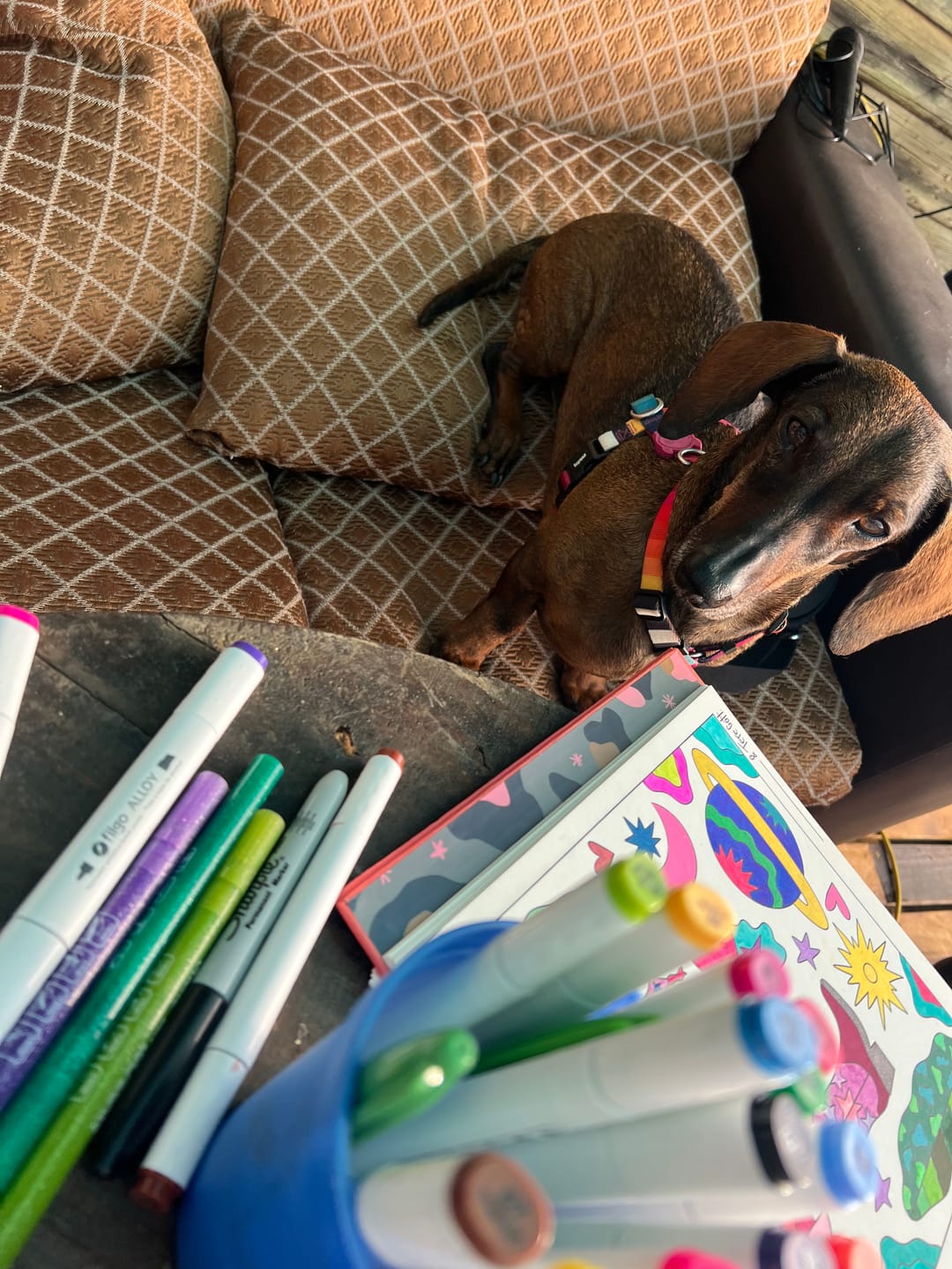 Customer photo review of Ohuhu - Set 12 Marcadores Glitter Marker