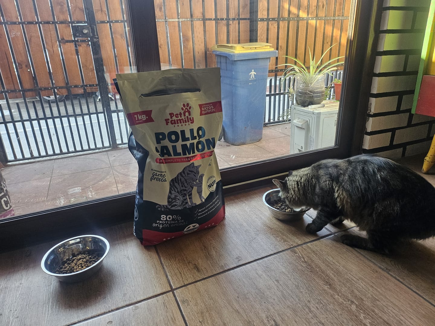 Customer photo review of PetFamily Foods Gato Pollo-Salmón