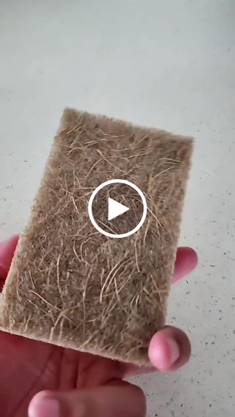 Customer video review of Plant Derived Sponges
