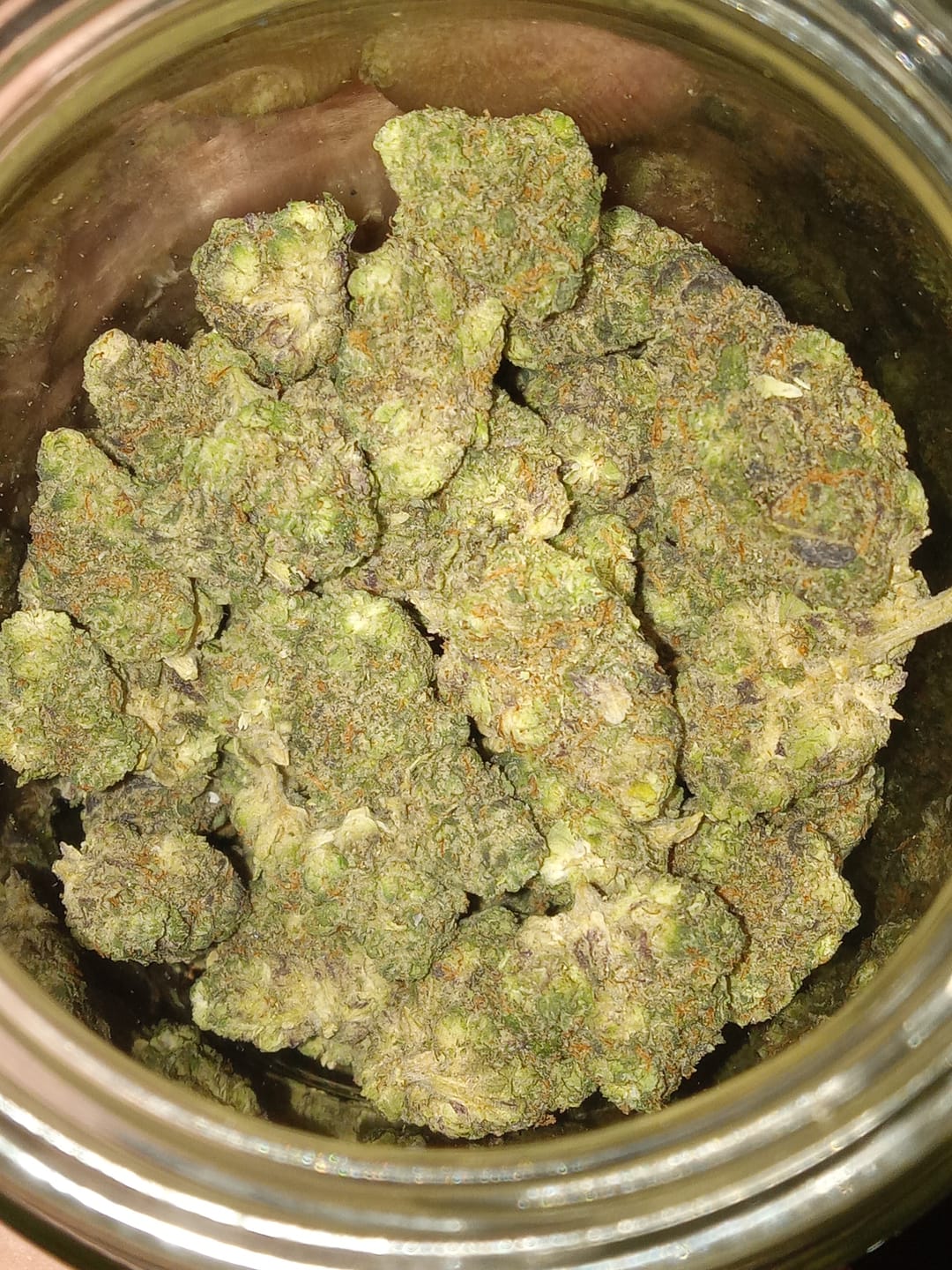 Customer photo review of Sunrise to Sunset Exotic Smalls Bundle
