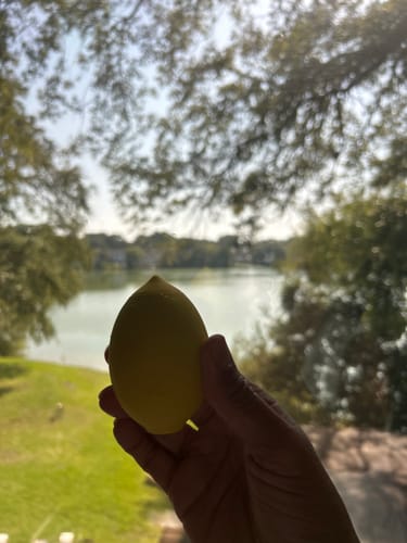Customer's yellow Lem clitoral massager held in hand against a sunny outdoor lake view.
