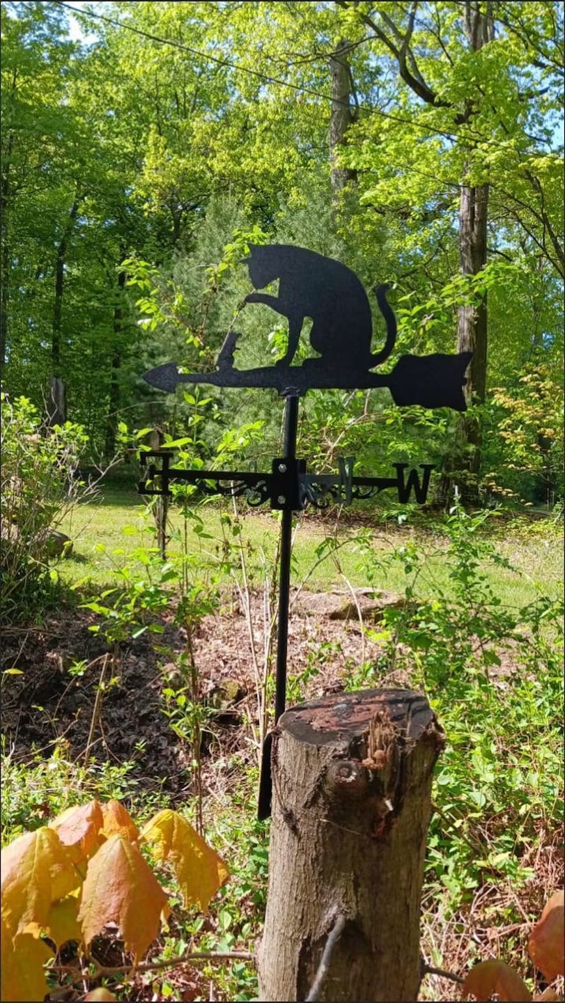 Customer photo review of Weather Vane - Cat and Mouse