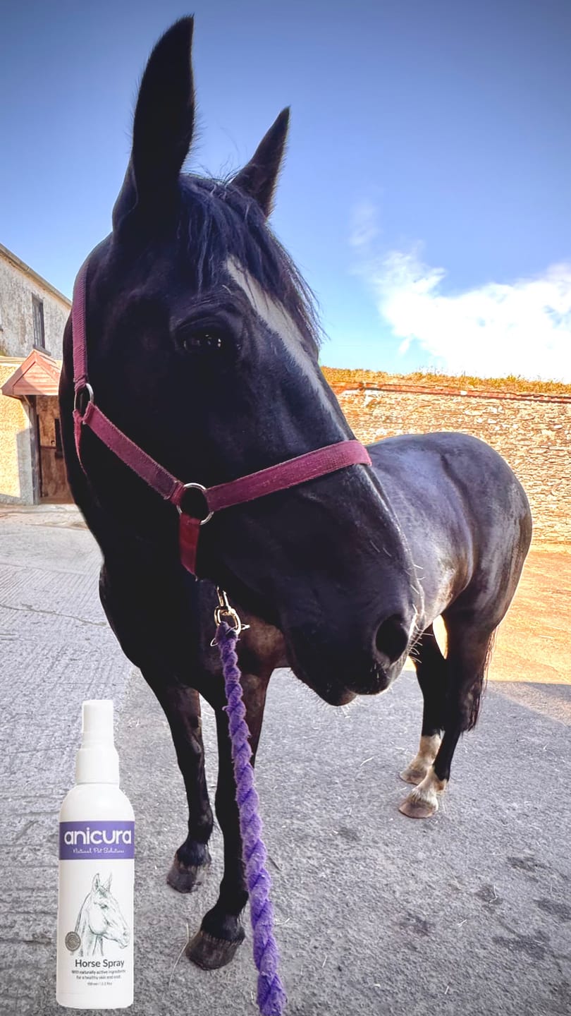 Customer photo review of Horse Spray