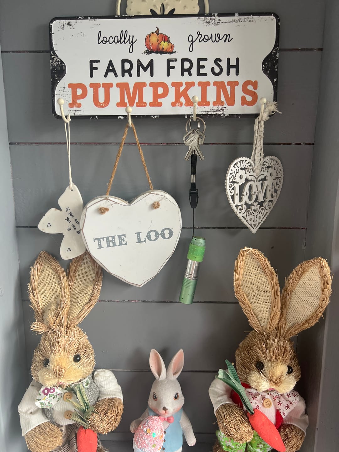 Customer photo review of "Farm Fresh Pumpkins" Metal Sign
