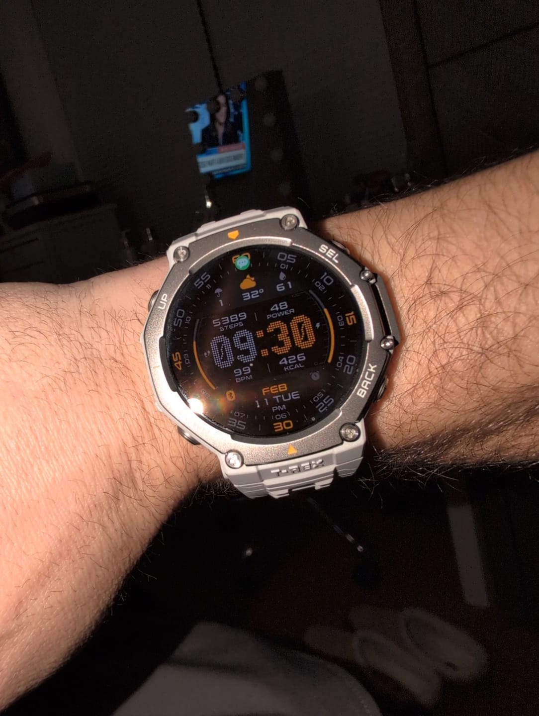 Customer photo review of T-Rex 3