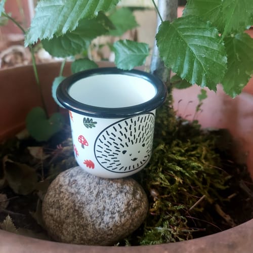 Reviewer's Riccio tazza smaltata con disegno di riccio, posata su una pietra in un vaso di piante.