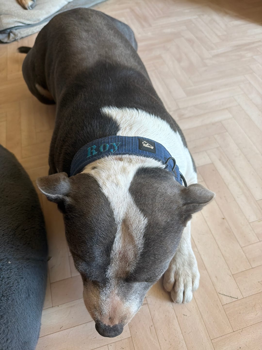 Customer photo review of Extreme Buckle med namn