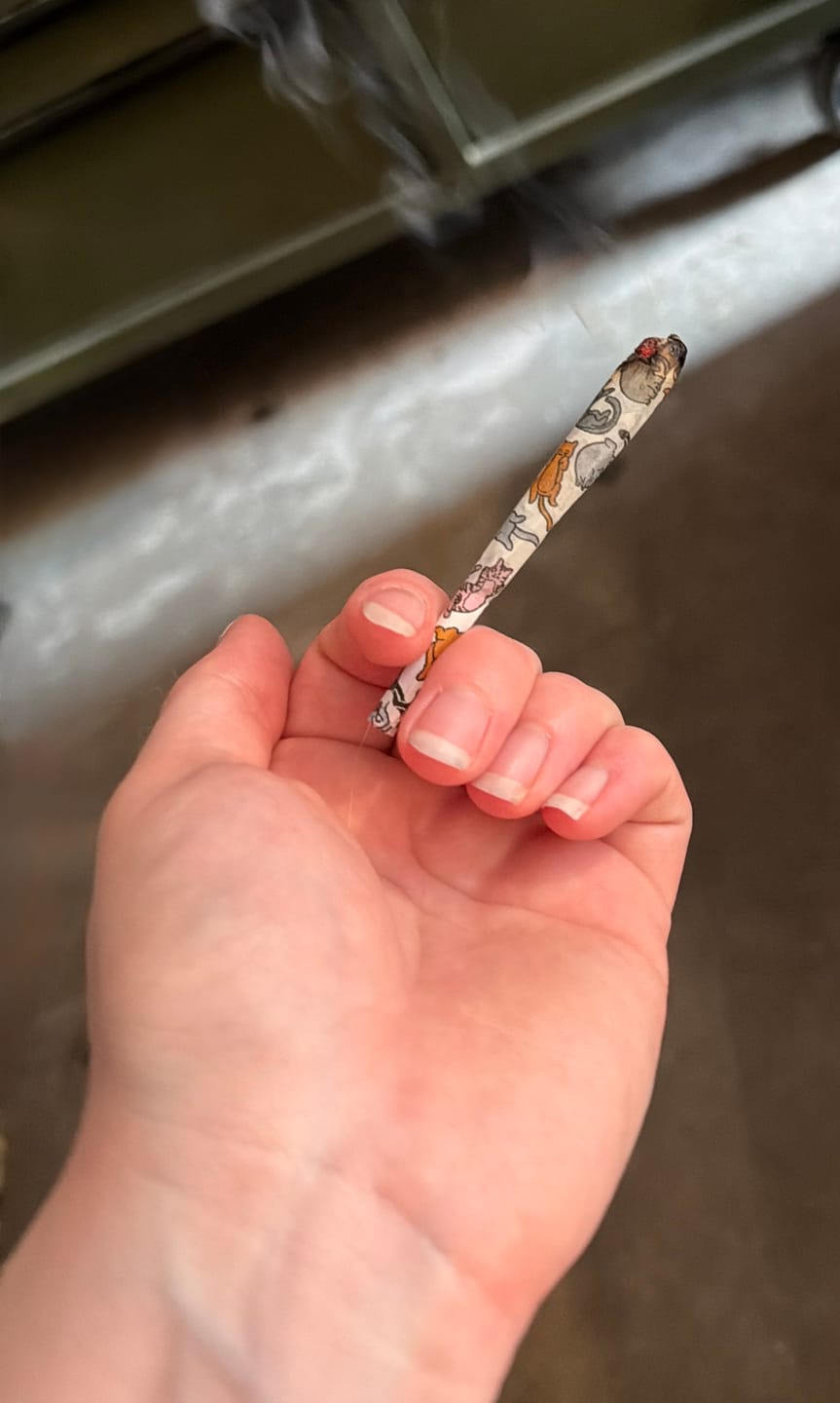 Customer photo review of COZY CAT CONES (8-pack)