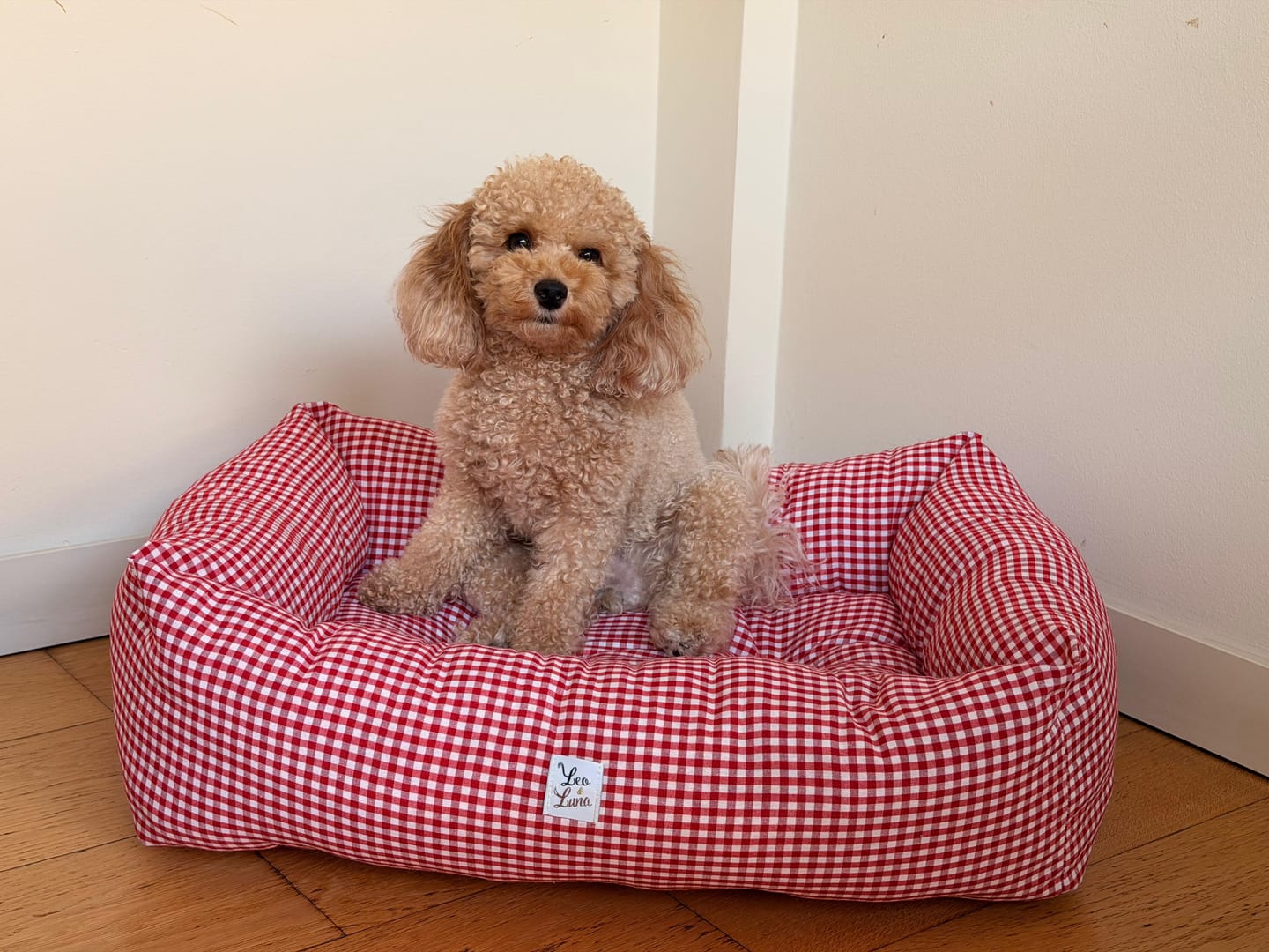 Customer photo review of Divanetto Cotone Vichy Rosso