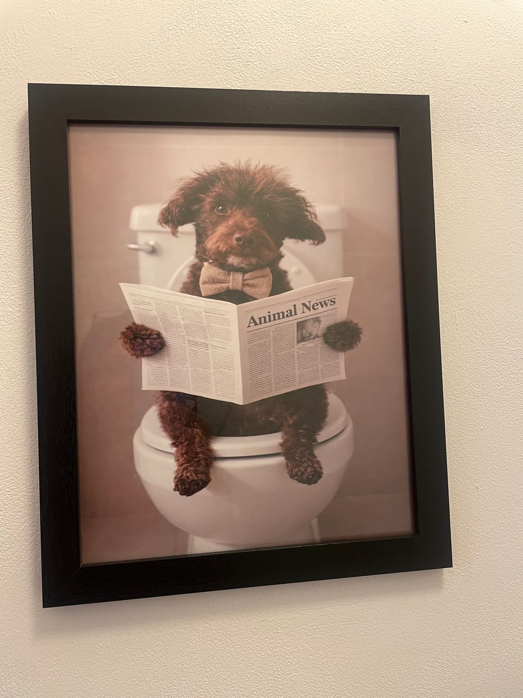 Customer photo review of Bathroom -  Personalised Poster