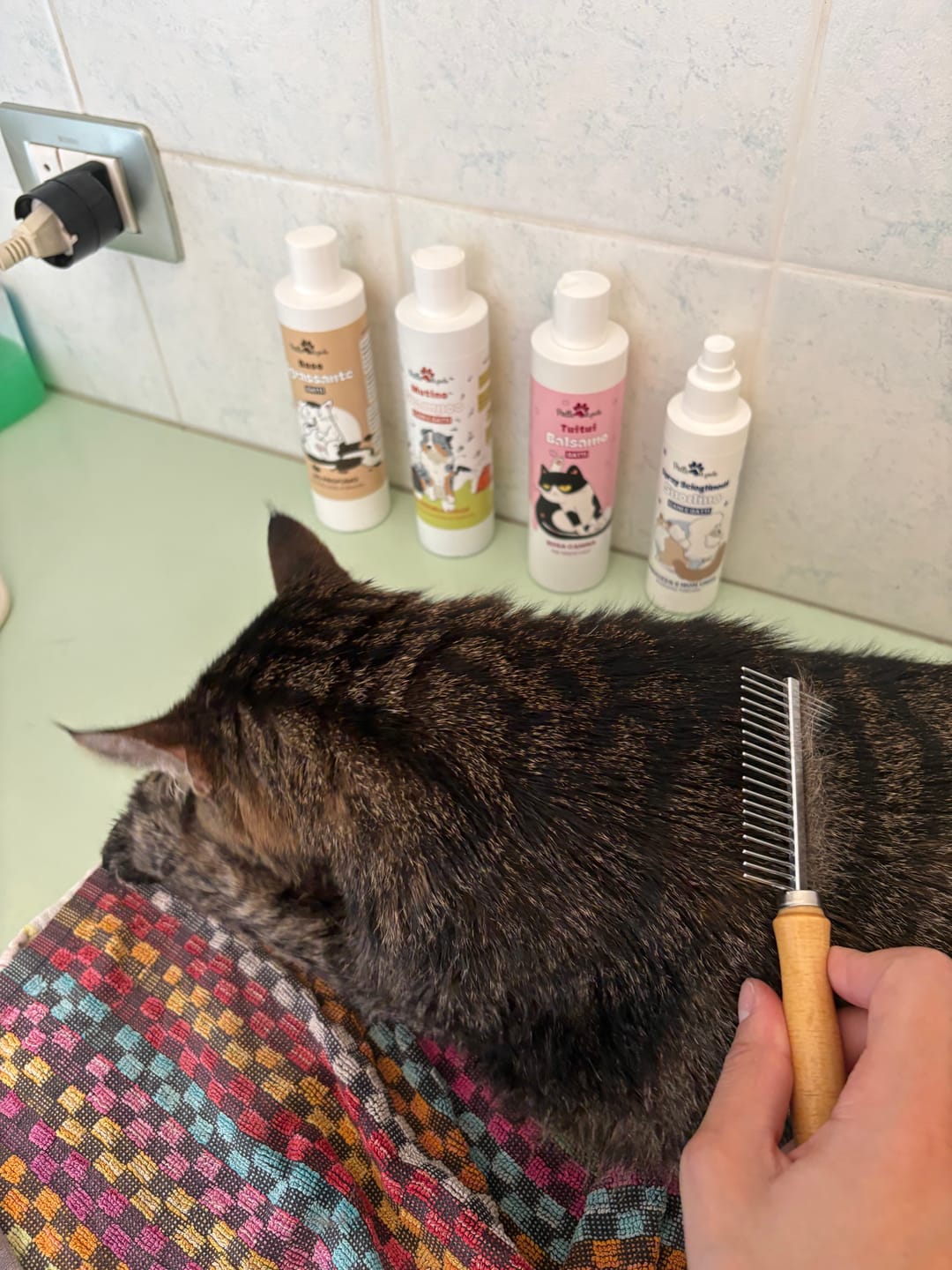 Customer photo review of MUTINO, shampoo cani e gatti sbrogliante e perdita muta