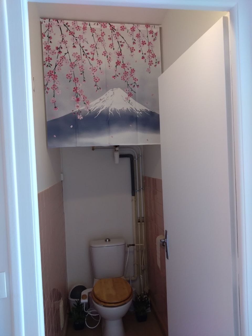 Customer photo review of Noren Japonais Cerisier & Fuji