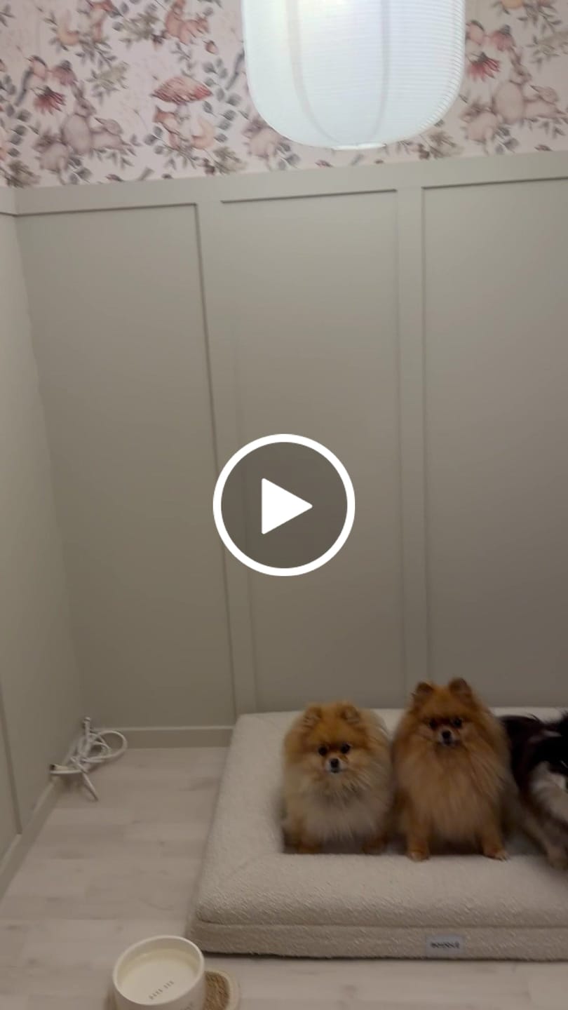 Customer video review of Bouclé Bed White Medium