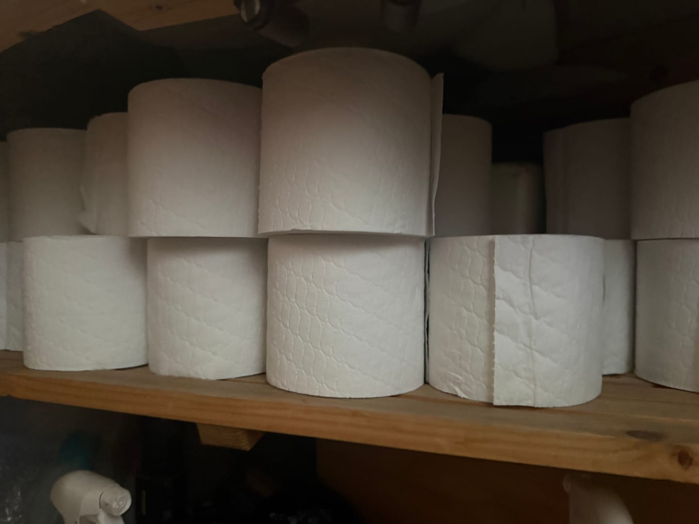 Customer photo review of 100% Recycled Toilet Paper