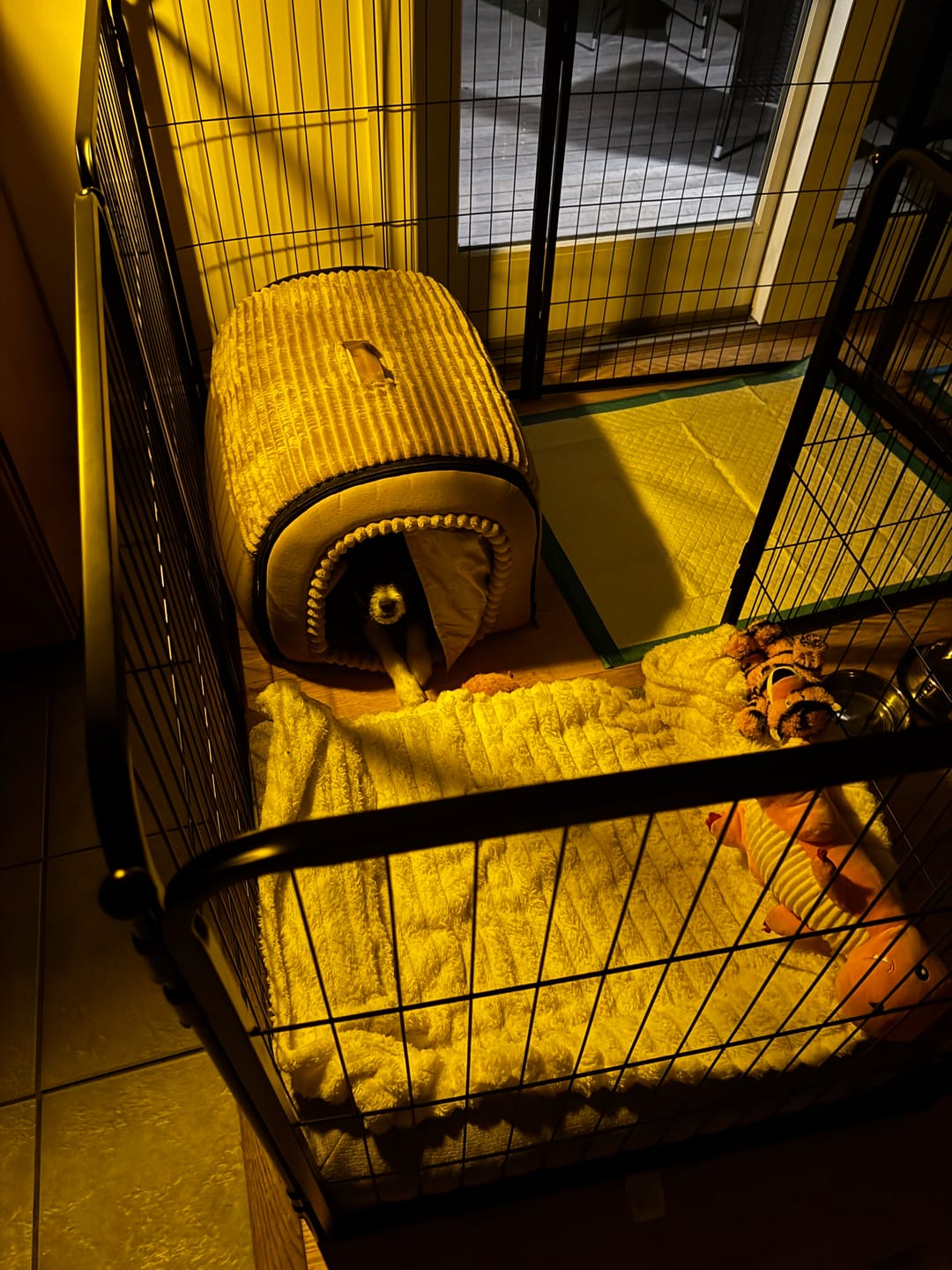 Customer photo review of The Cozy Cottage Dog Bed