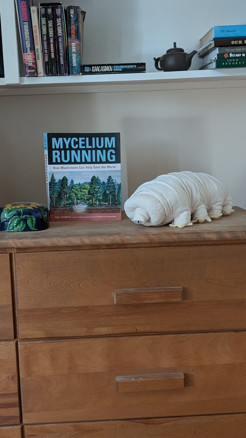 Customer photo review of Tardigrade Water Bear Soft Stuffed Plush Toy